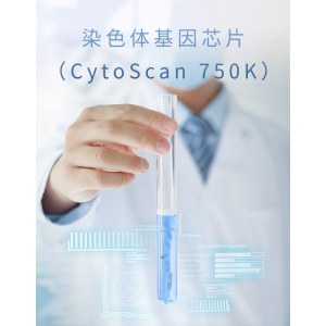 染色体基因芯片（CytoScan 750K）