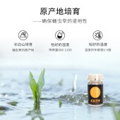 蛹虫草片高蛹虫草素片北冬虫夏草纯粉压片