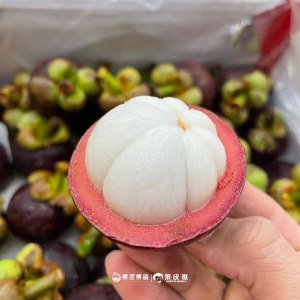 【鲜果】泰国山竹500g