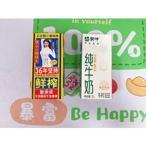 大瓶椰汁1L