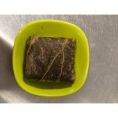 糯米鸡