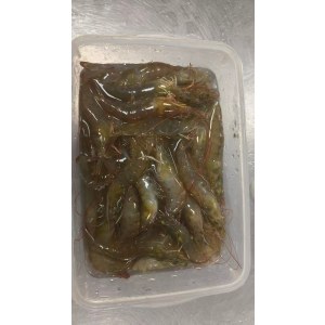 虾