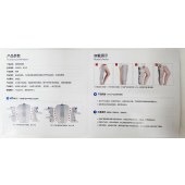 膝部固定器GI86005-仅限院内配送