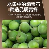 青梅精丸 60g  丹诏珍好